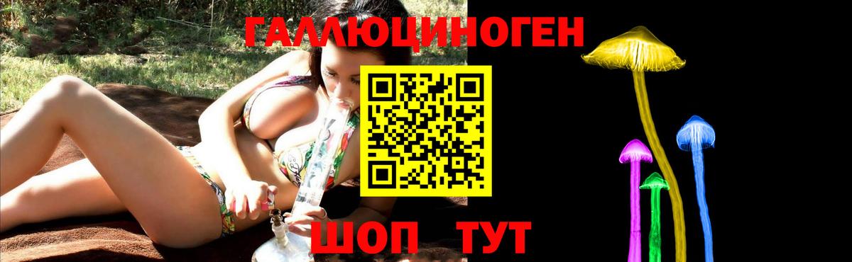 Кулебаки  купить наркоту  Вход с VPN  Псилоцибиновые грибы Psilocybe 